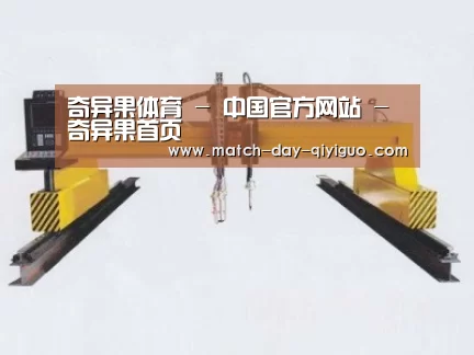 产品名称十九
